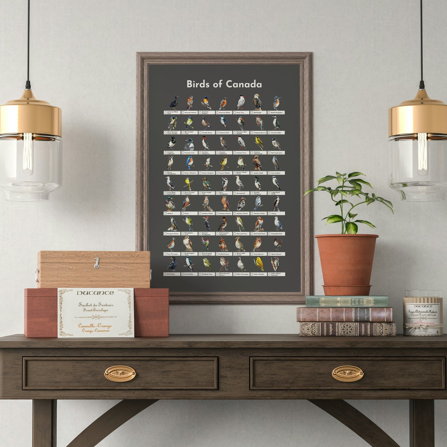 Birds of Canada Checklist Poster - Charcoal Grey