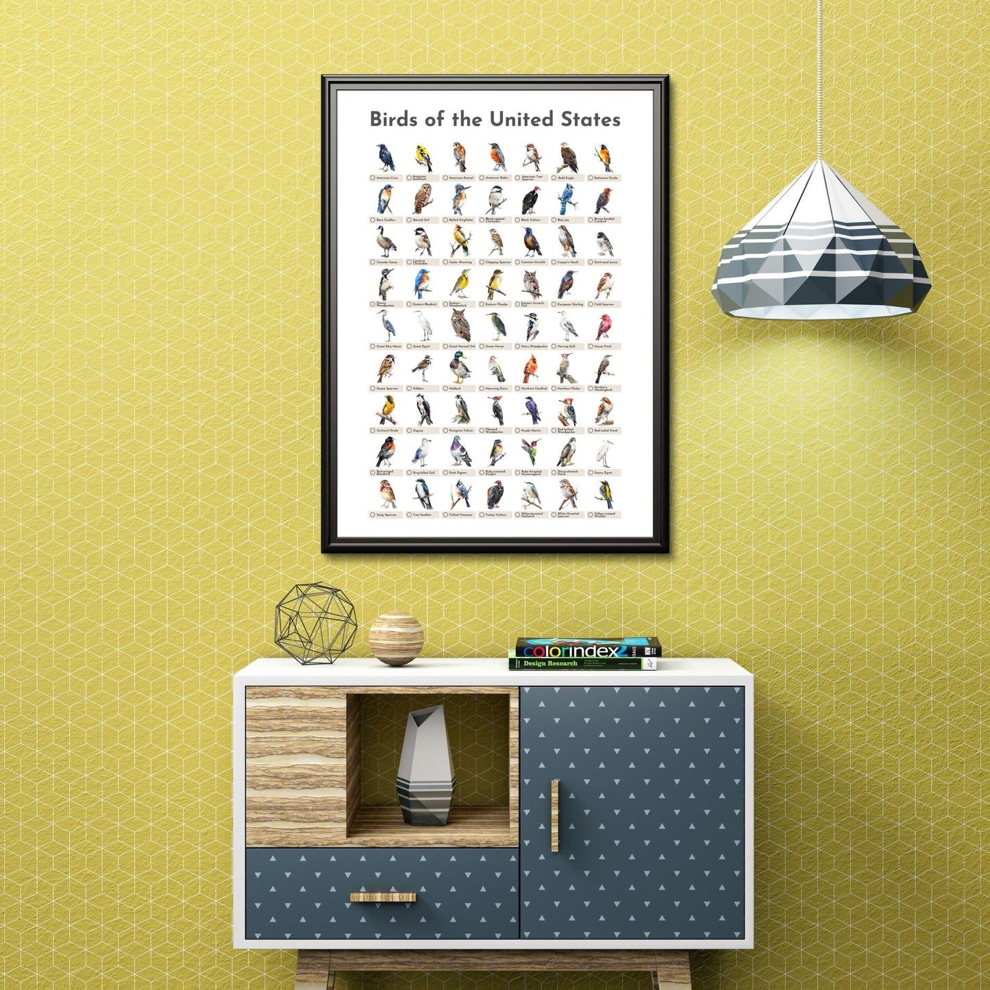 Birds of the USA Checklist Poster - White