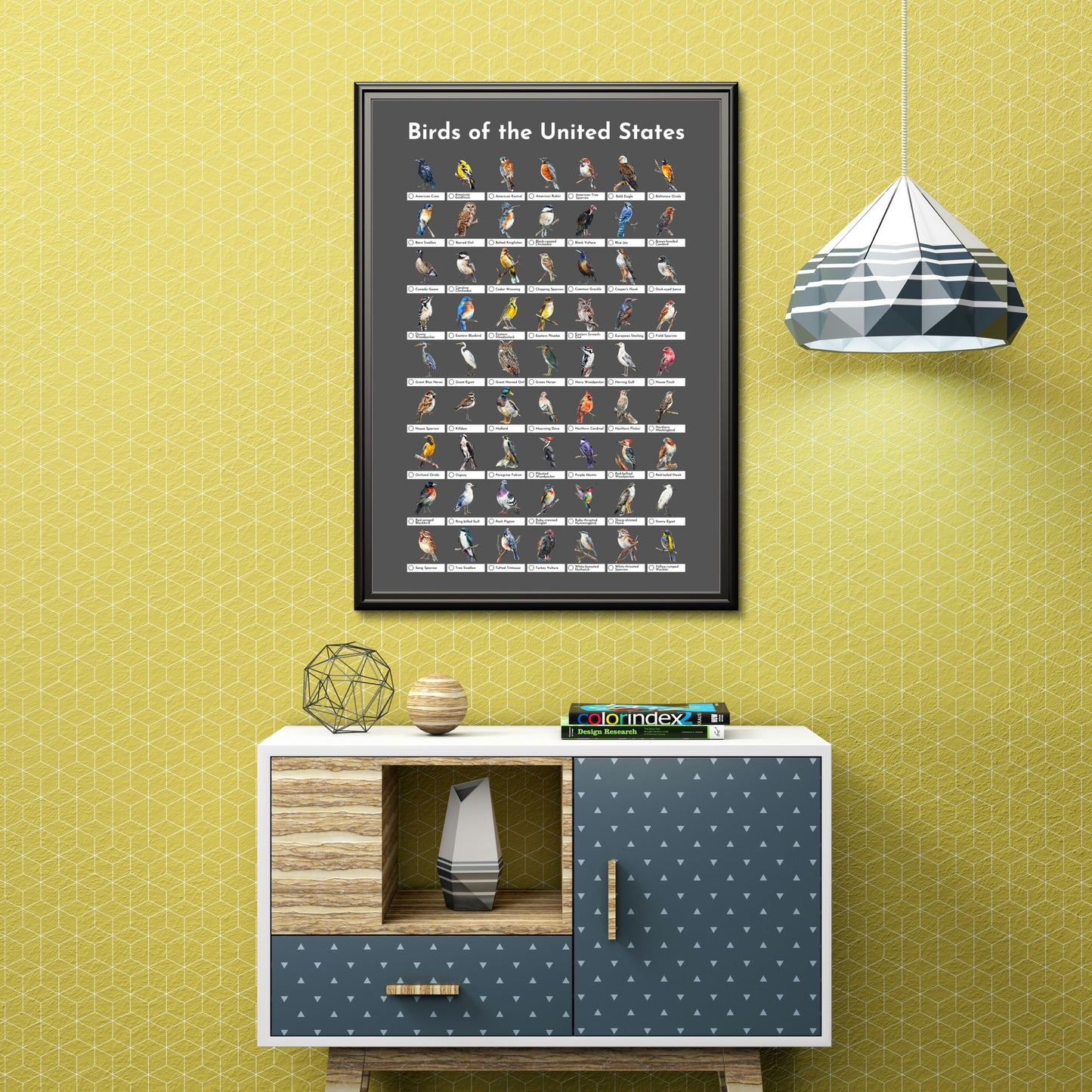 Birds of the USA Checklist Poster - Charcoal Grey