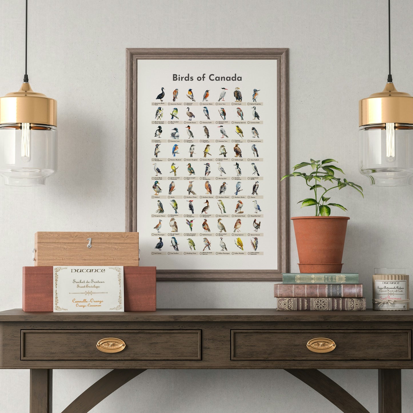 Birds of Canada Checklist Poster - White
