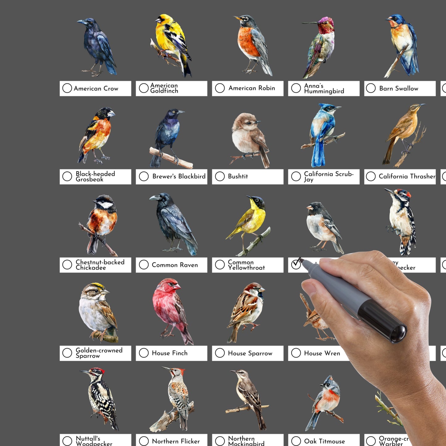 Birds of California Checklist Poster - Charcoal Grey