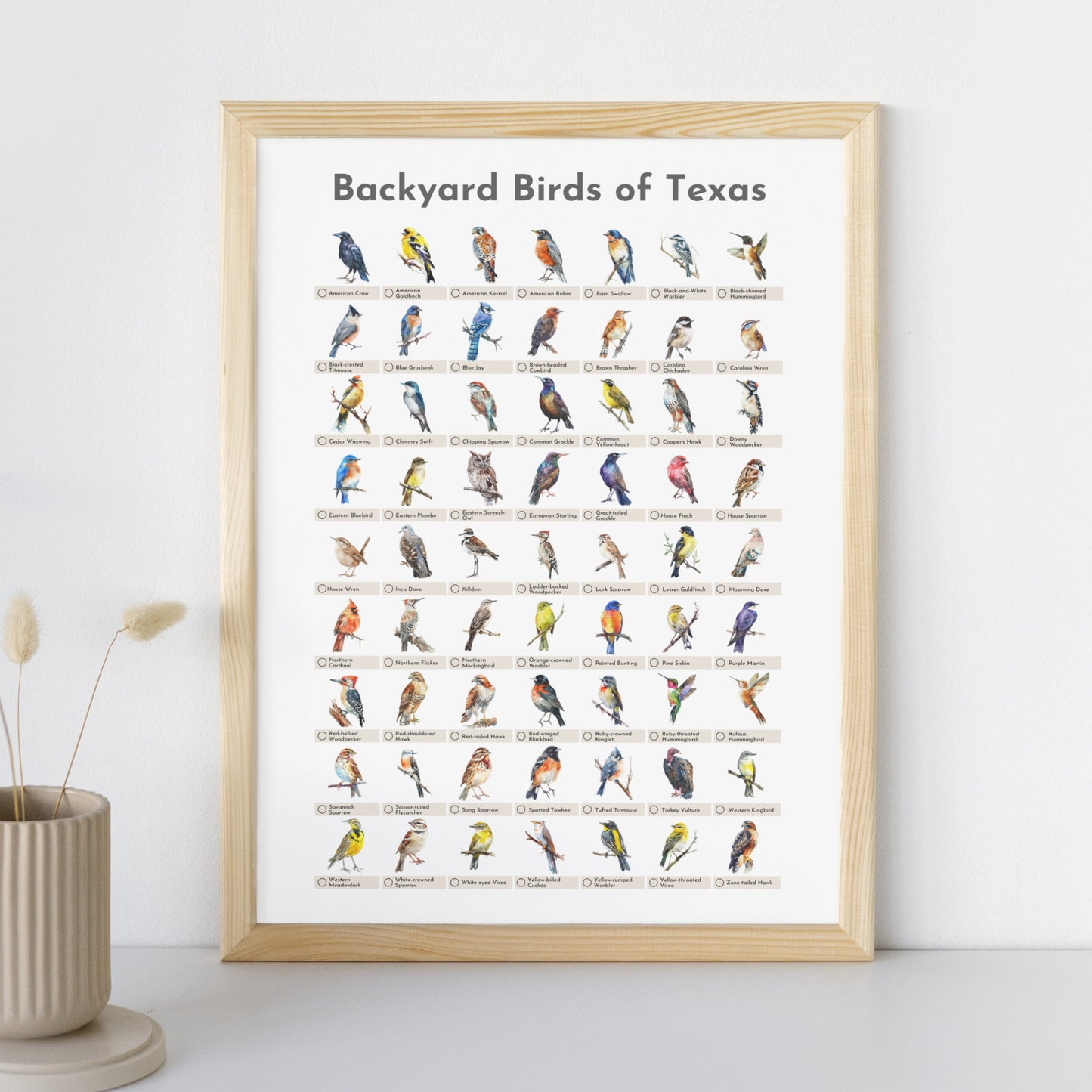 Birds of Texas Checklist Poster - White