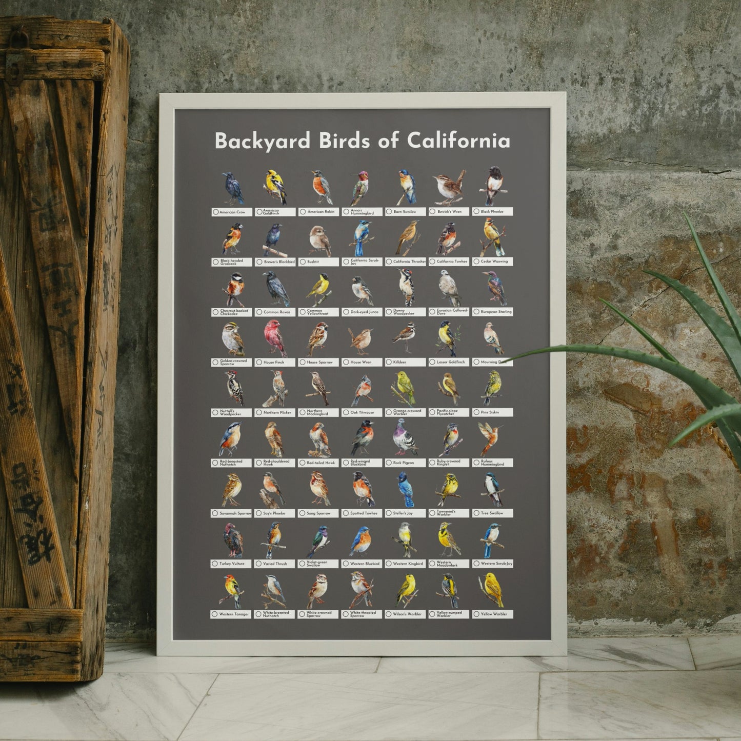 Birds of California Checklist Poster - Charcoal Grey