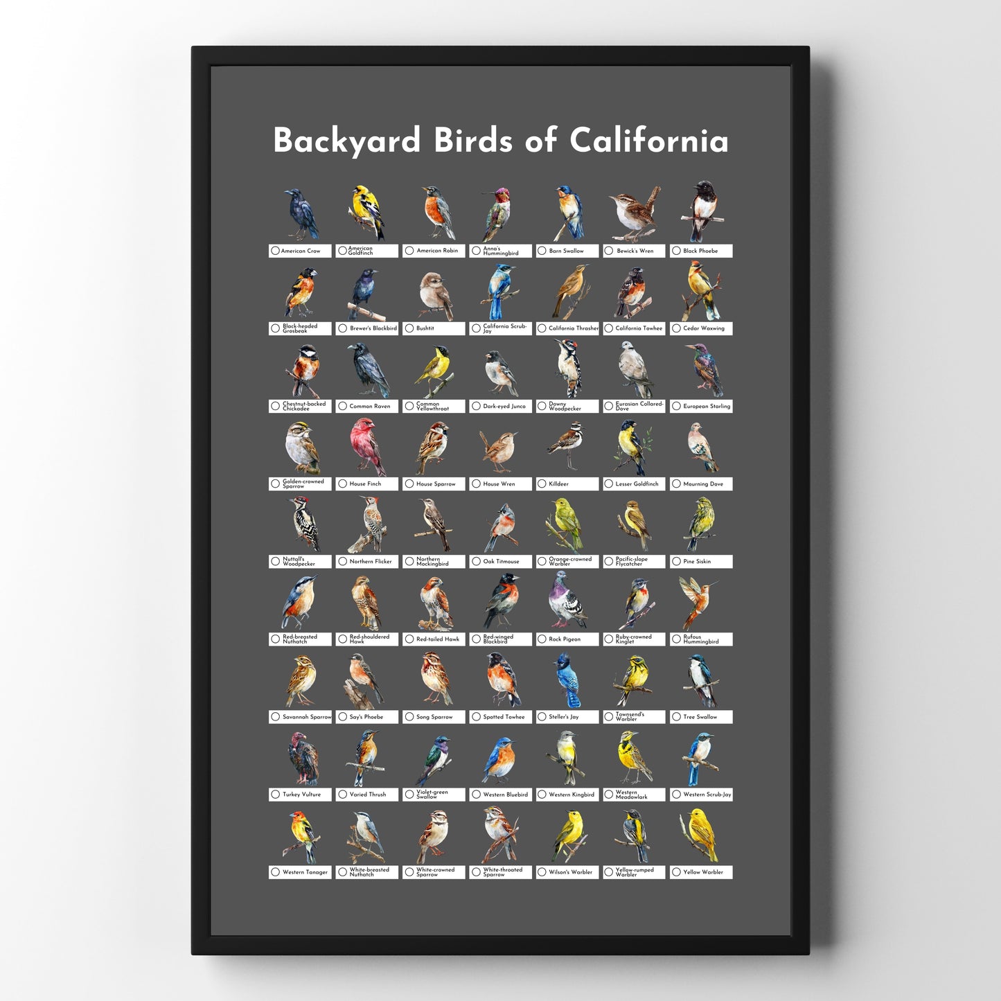 Birds of California Checklist Poster - Charcoal Grey