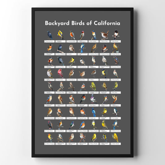 Birds of California Checklist Poster - Charcoal Grey