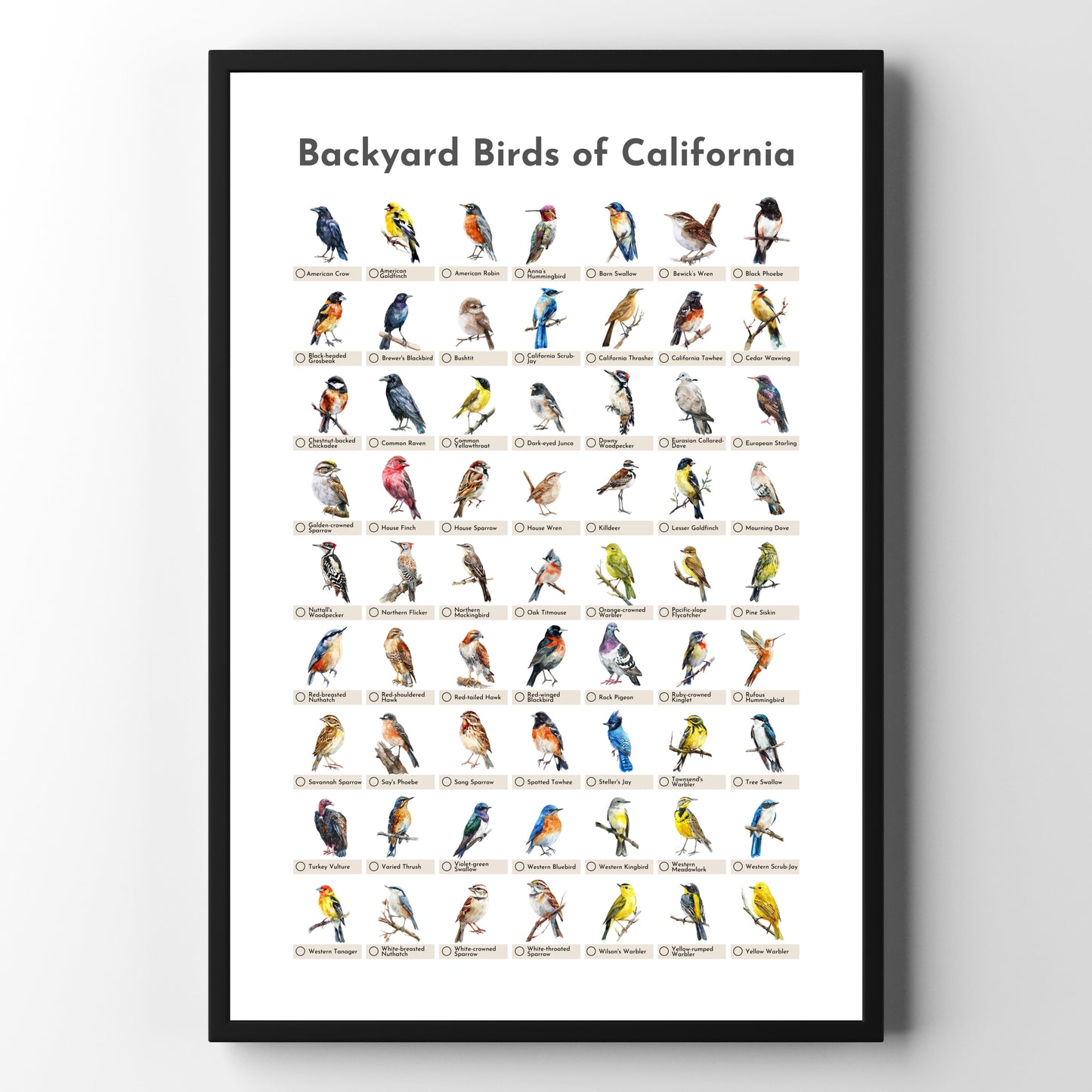 Birds of California Checklist Poster - White