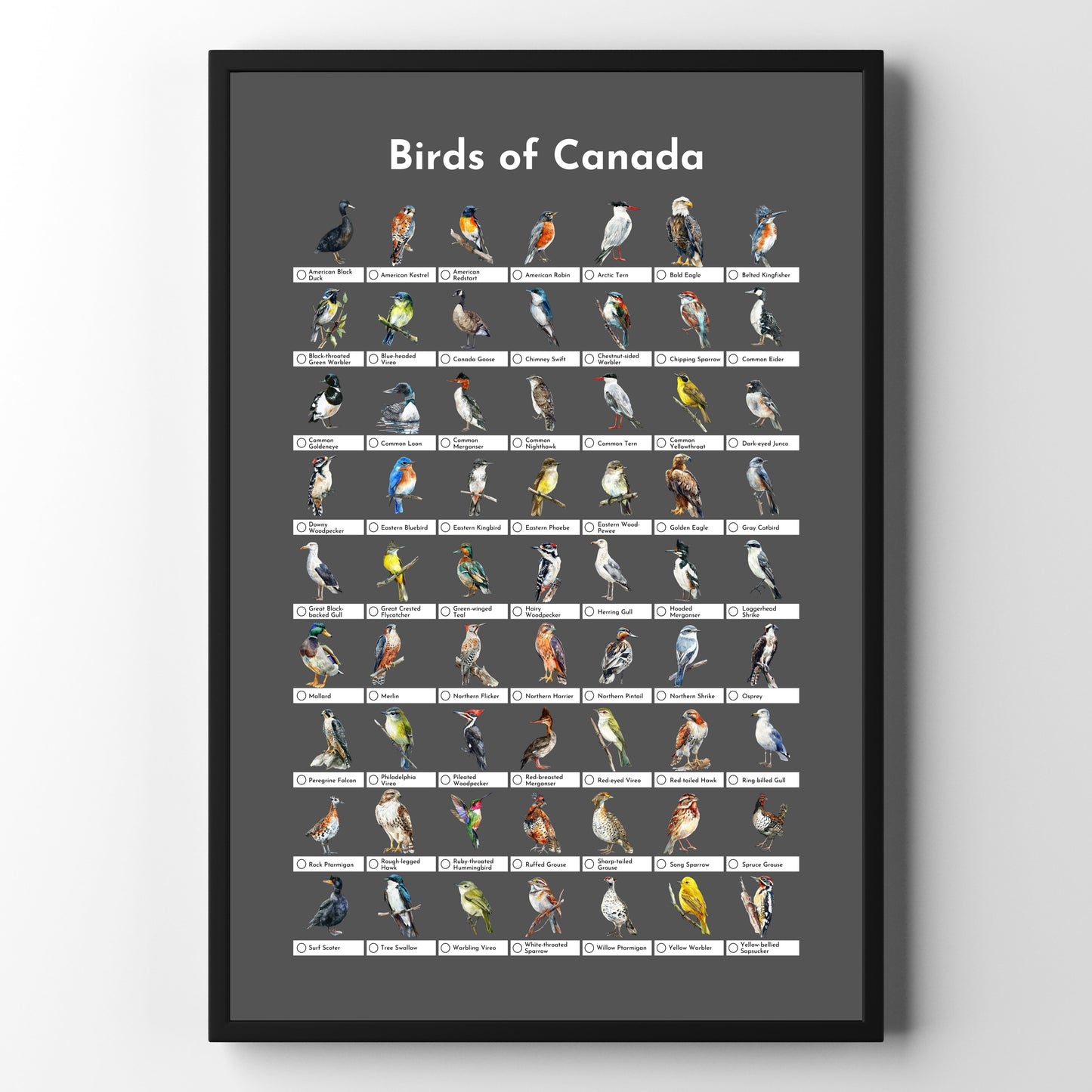 Birds of Canada Checklist Poster - Charcoal Grey