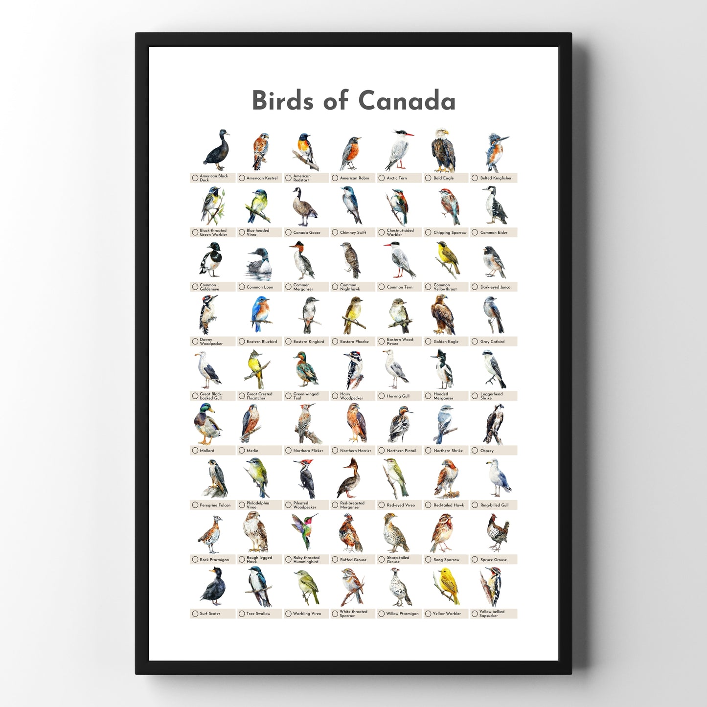 Birds of Canada Checklist Poster - White