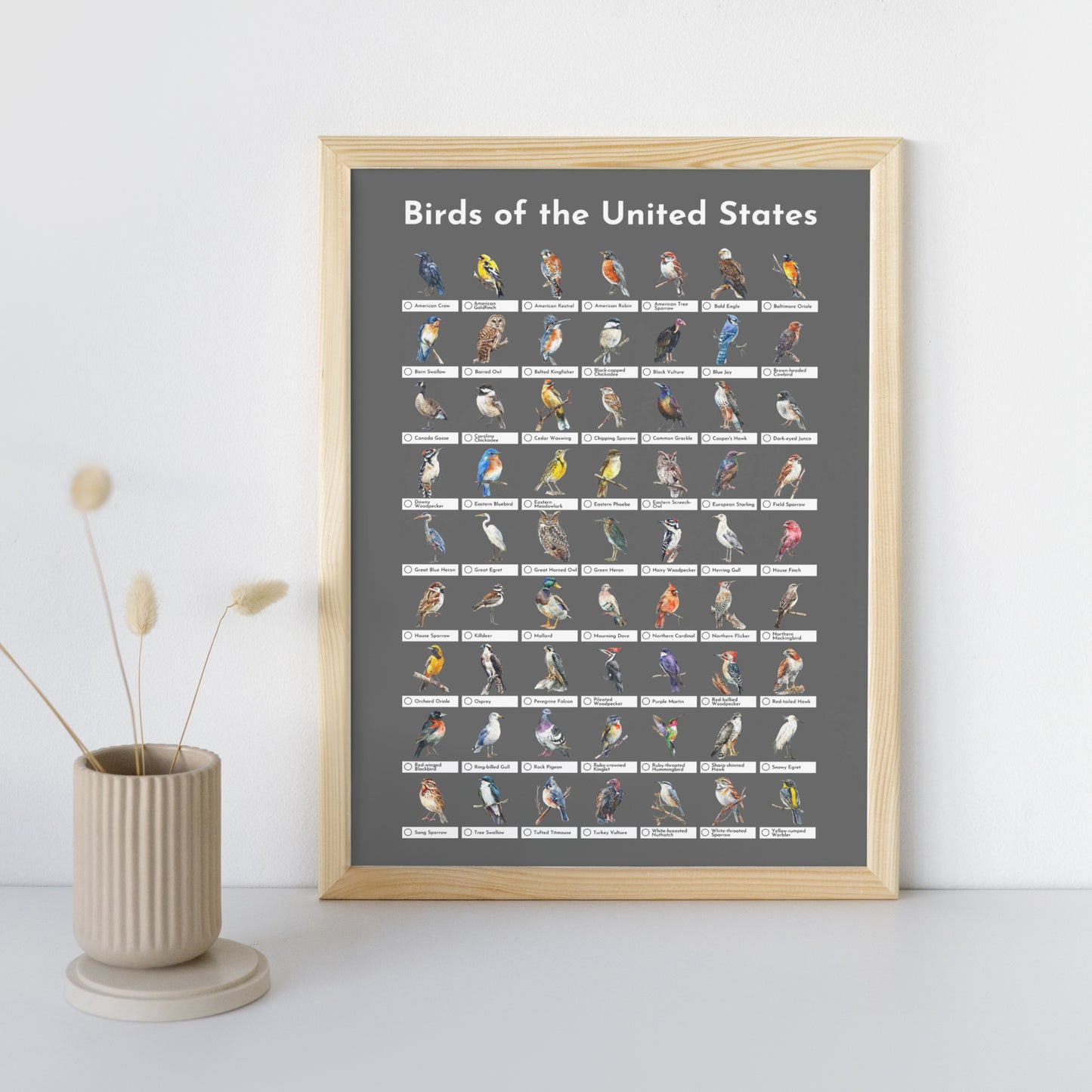 Birds of the USA Checklist Poster - Charcoal Grey