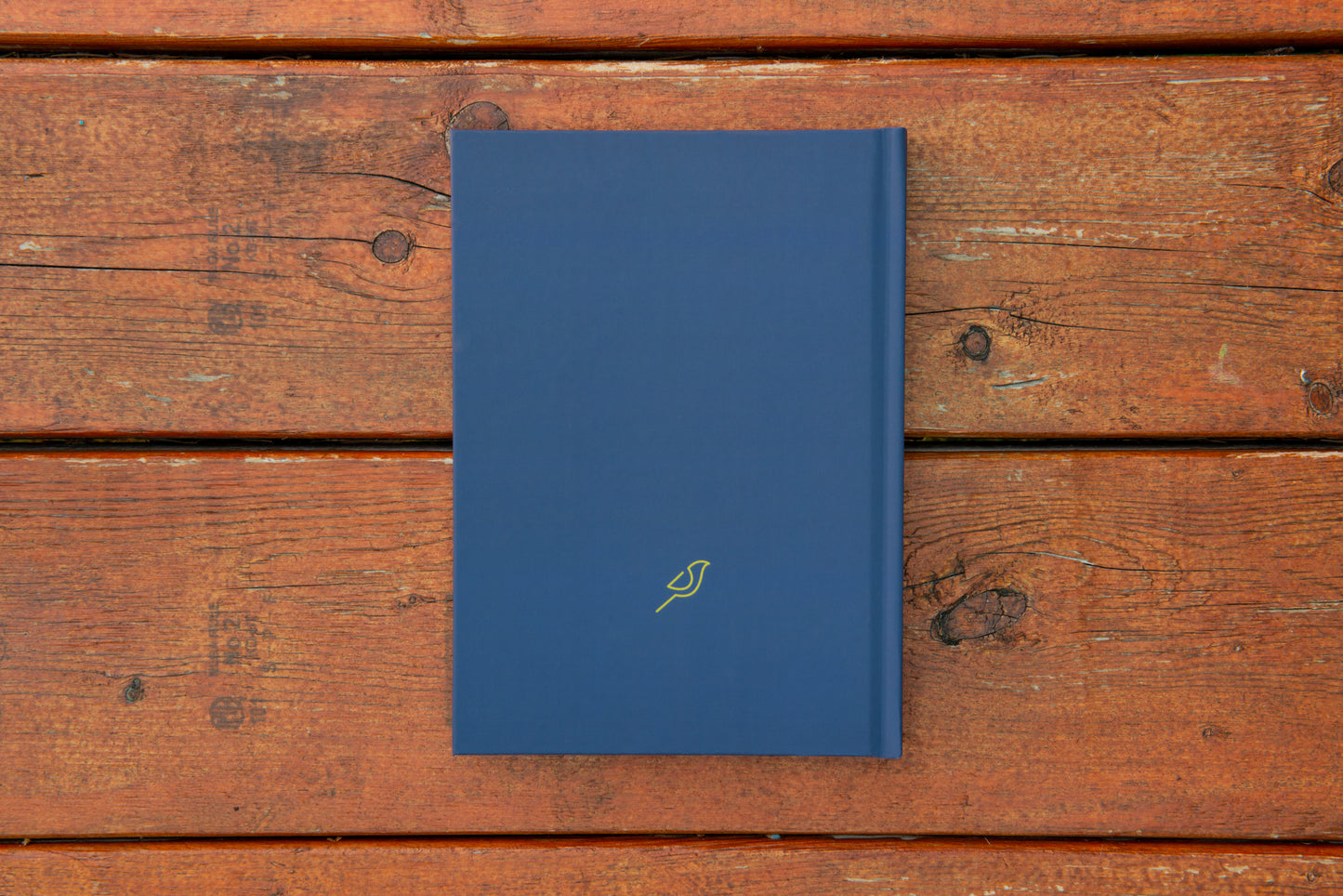 Jay Personalized Birding Logbook