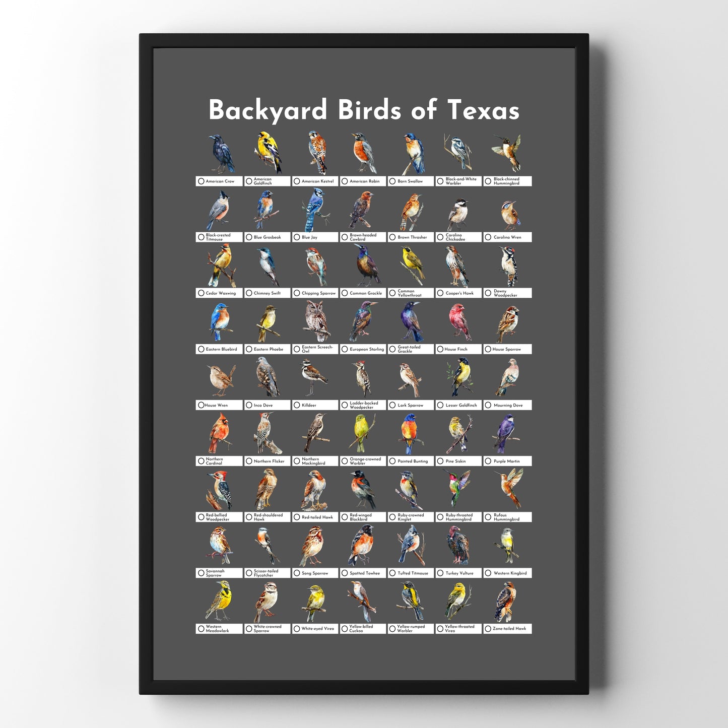 Birds of Texas Checklist Poster - Charcoal Grey