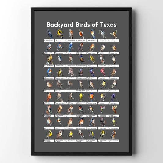 Birds of Texas Checklist Poster - Charcoal Grey