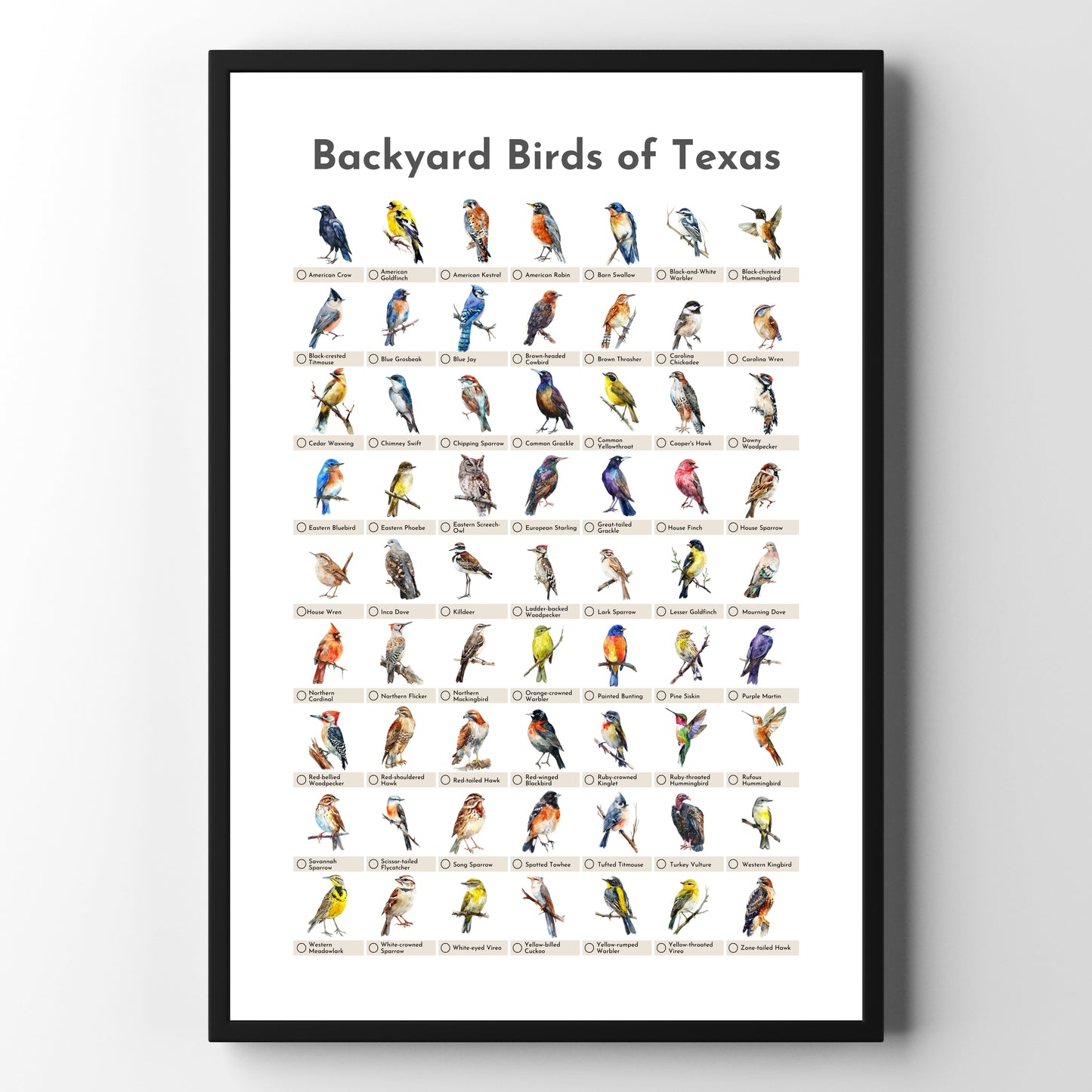 Birds of Texas Checklist Poster - White
