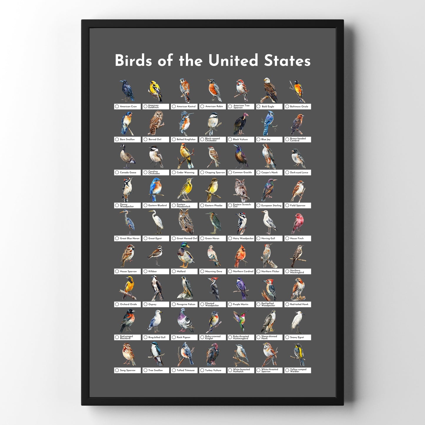 Birds of the USA Checklist Poster - Charcoal Grey