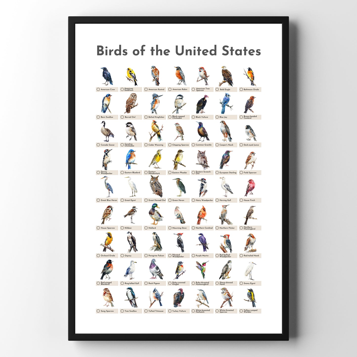 Birds of the USA Checklist Poster - White