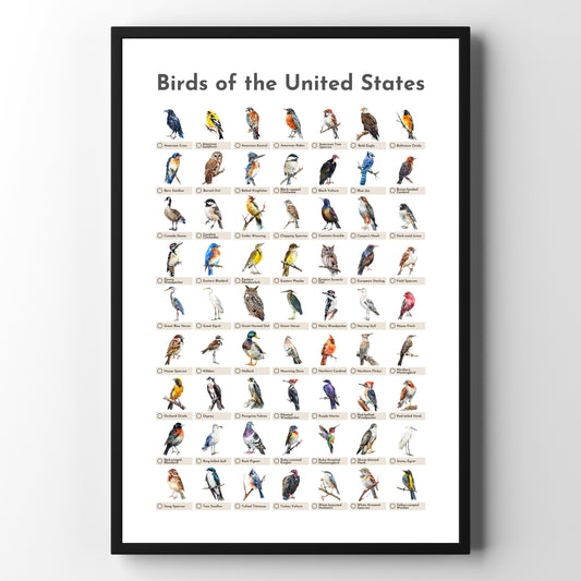 Birds of the USA Checklist Poster - White