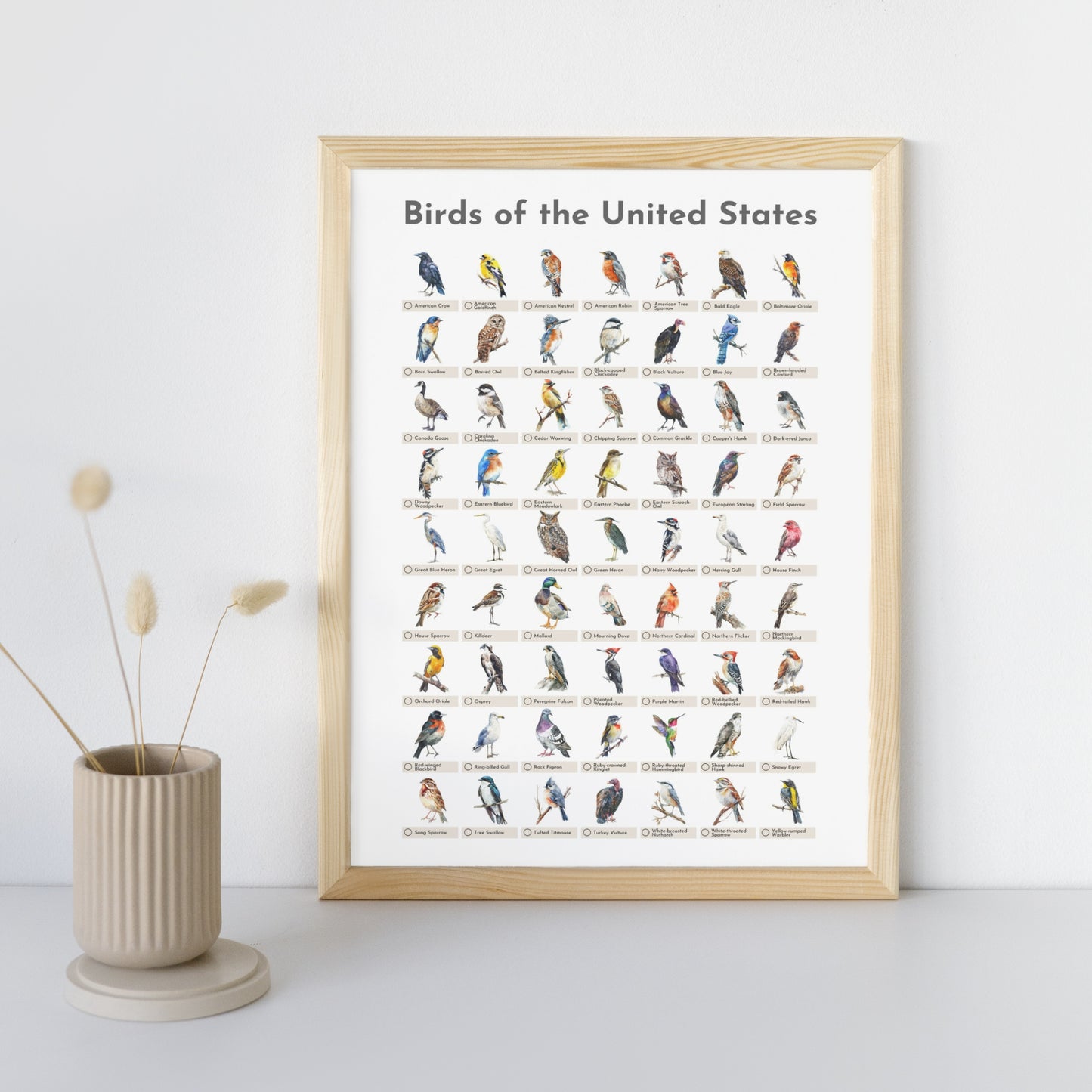 Birds of the USA Checklist Poster - White